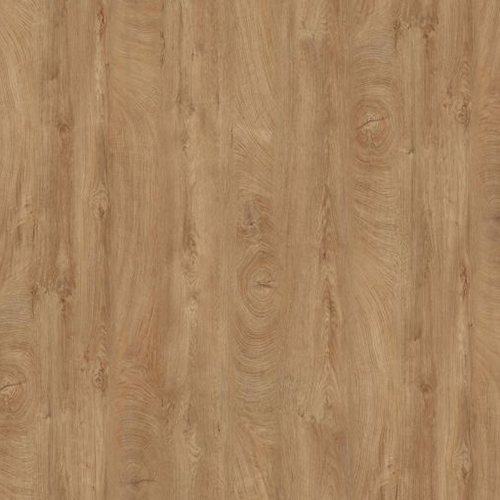 X7023 quercia naturale