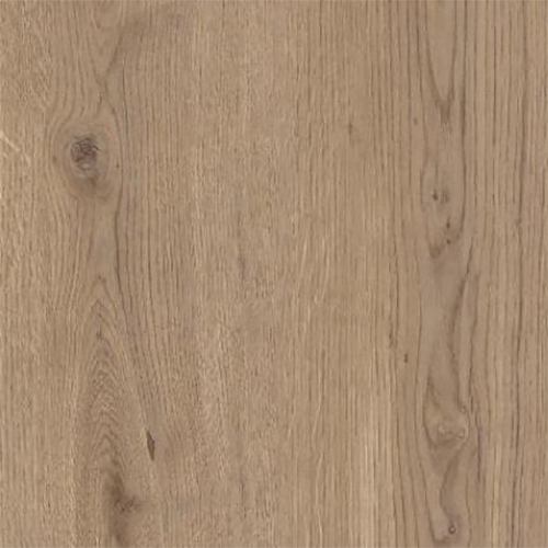 X7045 quercia