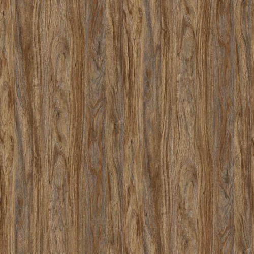 X7067 quercia grigia