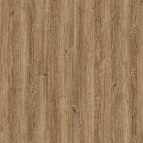 X7072 quercia