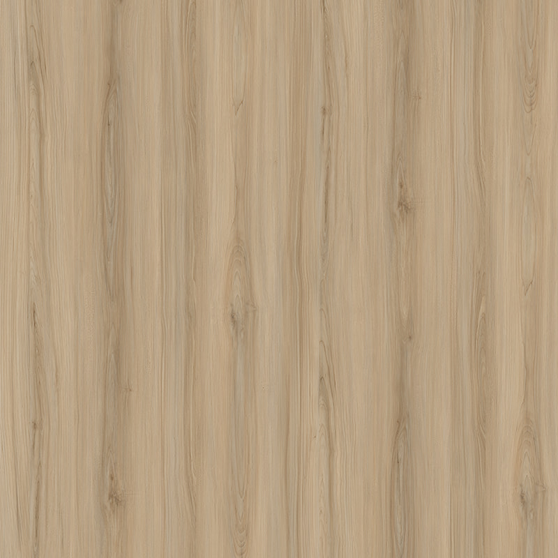 E11031 Maple