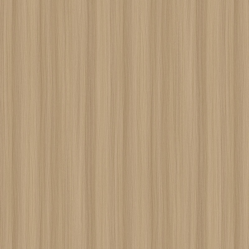 X2079 ELM