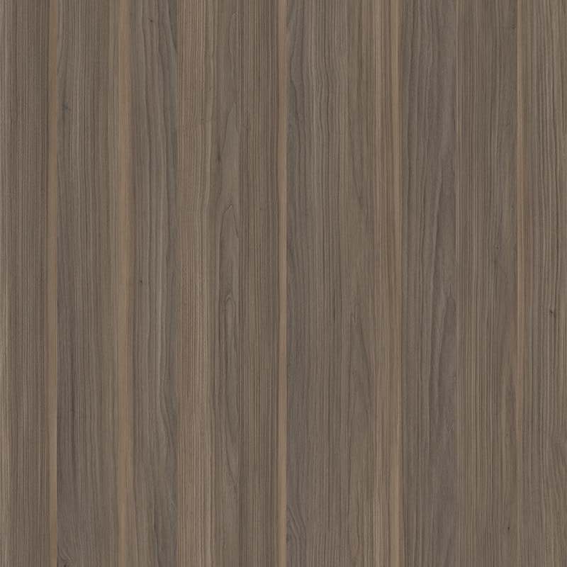 X2145 noce zebra