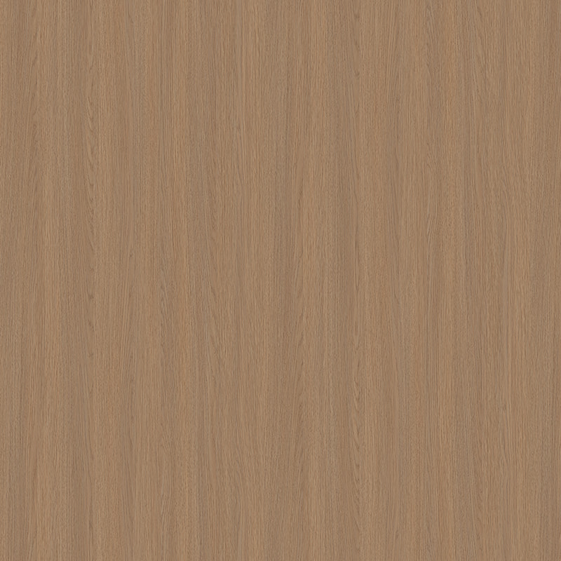 X2193 quercia